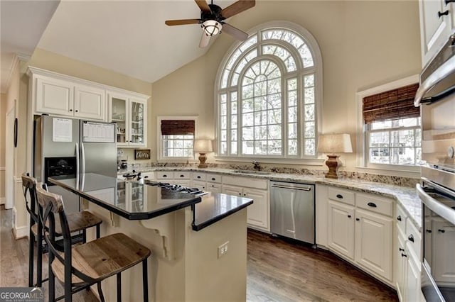 kitchen with white cabinets, dark wood-style flooring, a ceiling fan, and stainless steel appliances