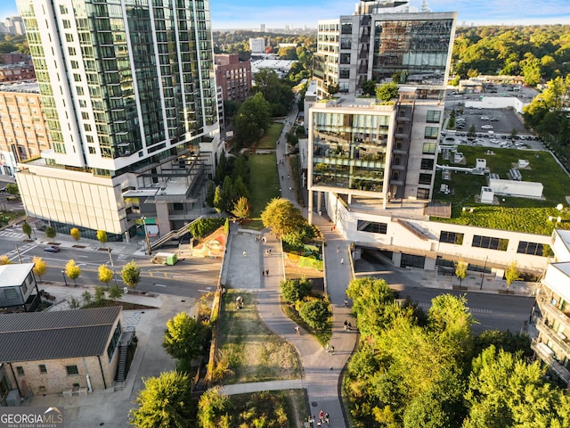 830 Belgrade Ave NE, Atlanta, GA 30306 - view of urban area