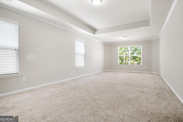 1502 Silver Mist Cir, Powder Springs, GA 30127 - unfurnished room featuring baseboards, ornamental molding, carpet flooring, and a raised ceiling