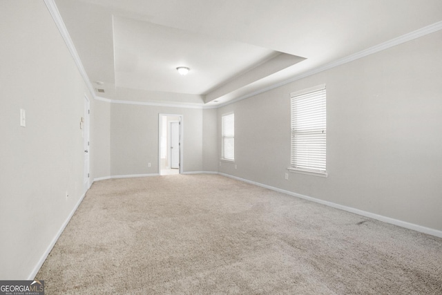 1502 Silver Mist Cir, Powder Springs, GA 30127 - spare room featuring light carpet, baseboards, ornamental molding, and a tray ceiling