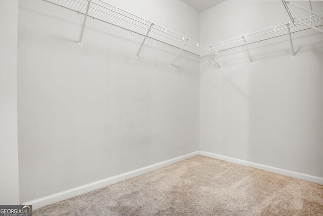 1502 Silver Mist Cir, Powder Springs, GA 30127 - walk in closet featuring carpet flooring