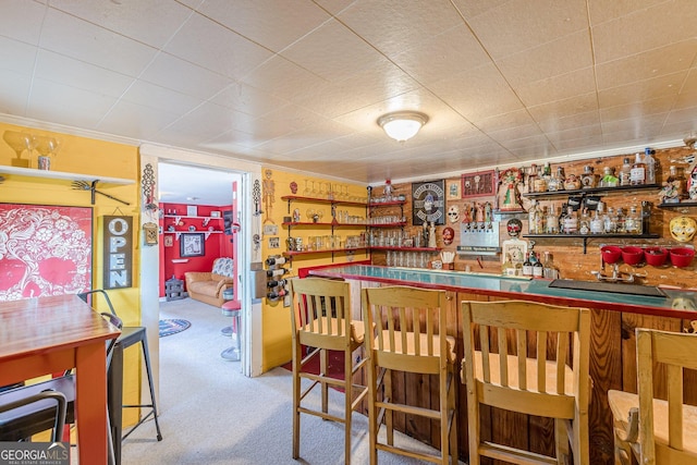 bar featuring indoor wet bar, ornamental molding, and carpet