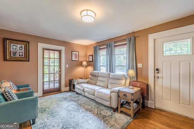 living area with baseboards, wood finished floors, and a wealth of natural light
