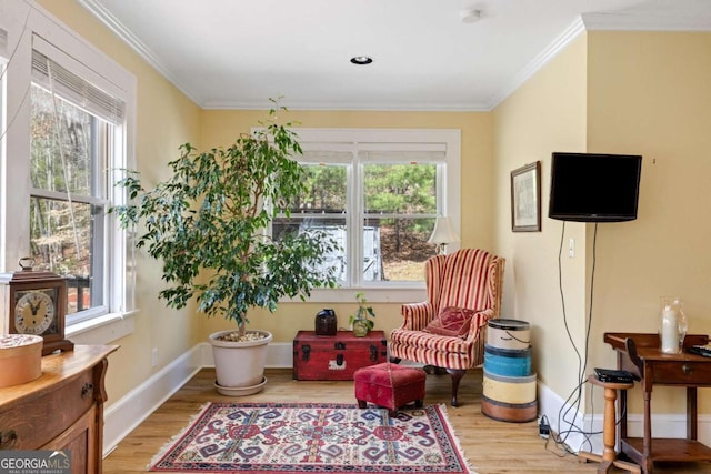 937 Fern Dr, Morganton, GA 30560 - living area featuring wood finished floors, a wealth of natural light, and crown molding