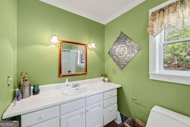 937 Fern Dr, Morganton, GA 30560 - bathroom featuring crown molding, vanity, and toilet