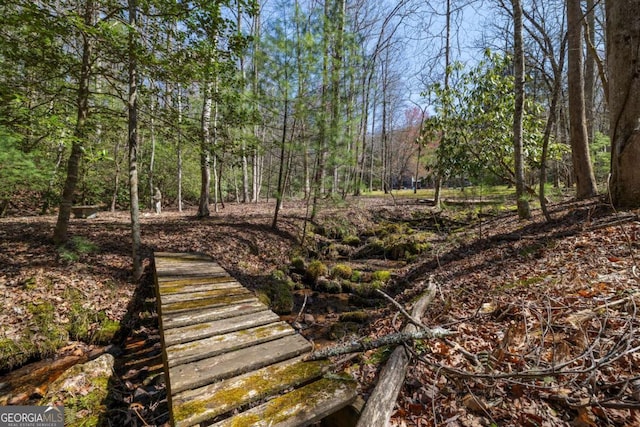 937 Fern Dr, Morganton, GA 30560 - view of yard