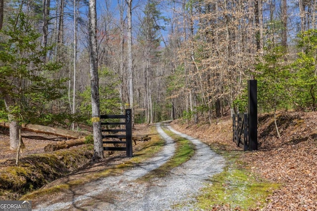 937 Fern Dr, Morganton, GA 30560 - view of street featuring a forest view and a gated entry