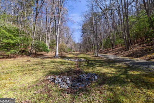 937 Fern Dr, Morganton, GA 30560 - view of yard with a wooded view