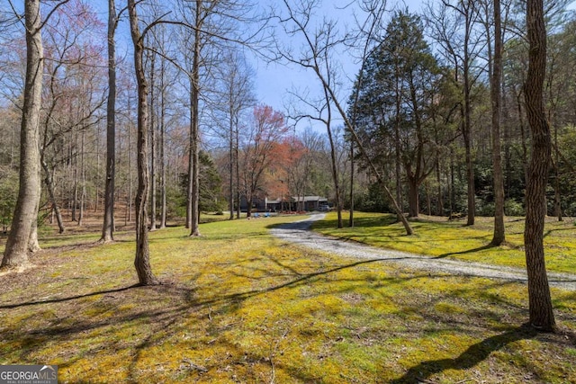 937 Fern Dr, Morganton, GA 30560 - view of street featuring driveway