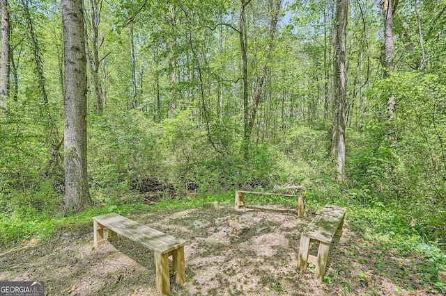 view of yard with a wooded view