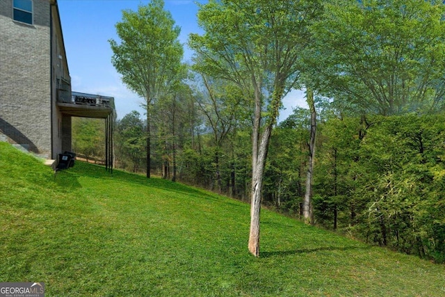 3206 Letha Woods Dr, Conyers, GA 30094 - view of grassy yard