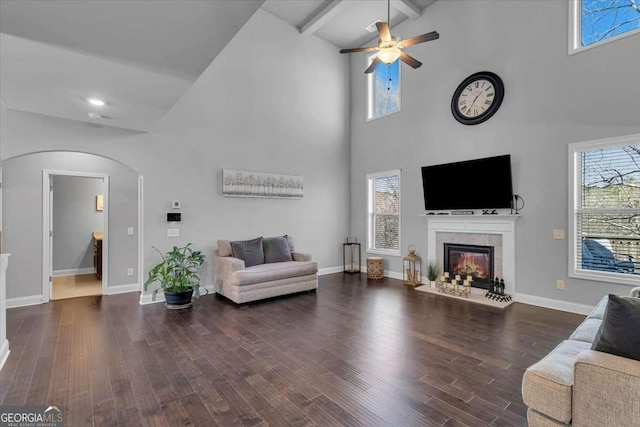3206 Letha Woods Dr, Conyers, GA 30094 - living room featuring arched walkways, high vaulted ceiling, a ceiling fan, a glass covered fireplace, and wood finished floors