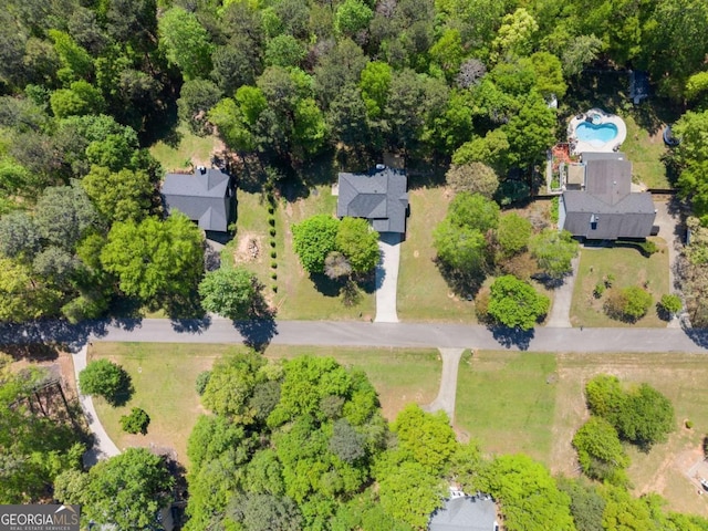 bird's eye view