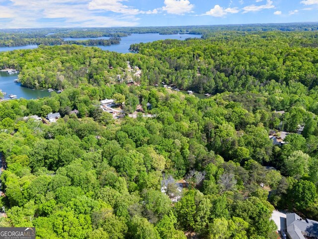 bird's eye view featuring a view of trees and a water view
