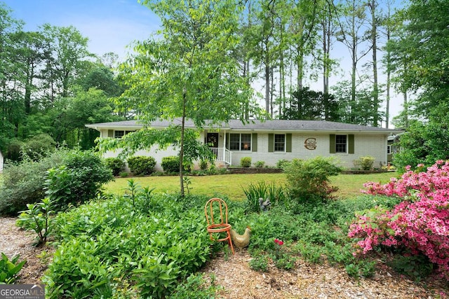 single story home featuring a front lawn