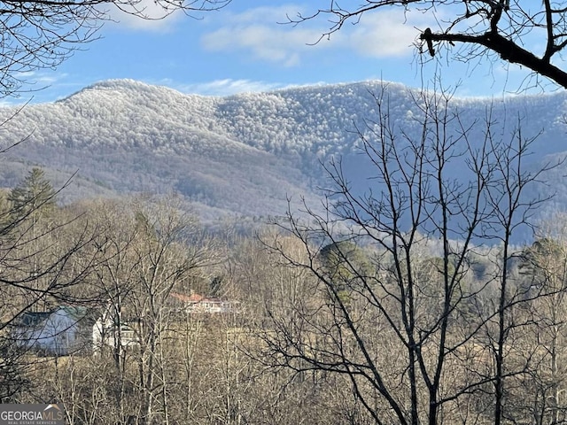 5.765AC Brannon Nix Rd, Blairsville, GA 30512 - mountain view