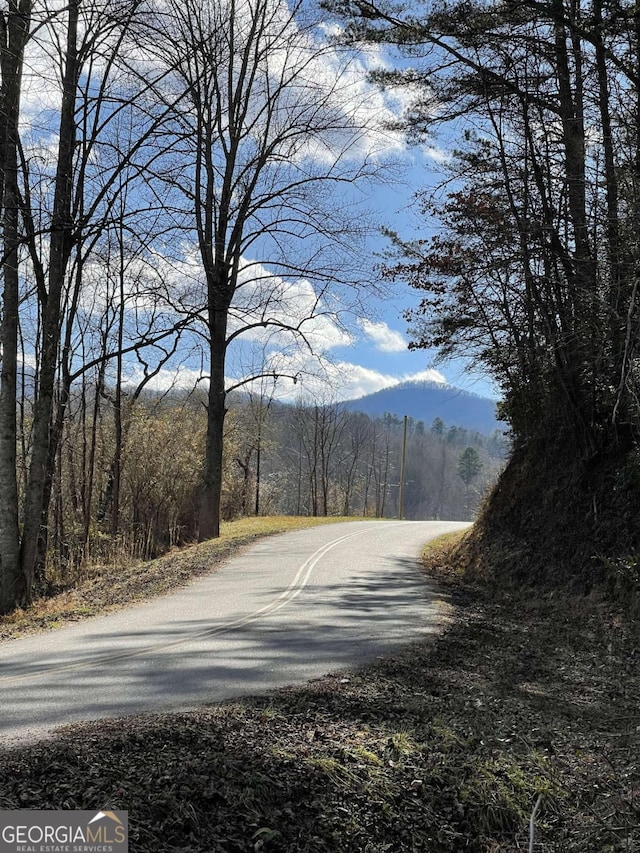 5.765AC Brannon Nix Rd, Blairsville, GA 30512 - view of road featuring a wooded view