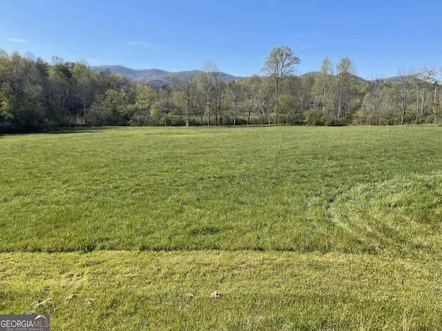 5.765AC Brannon Nix Rd, Blairsville, GA 30512 - mountain view featuring a rural view and a wooded view