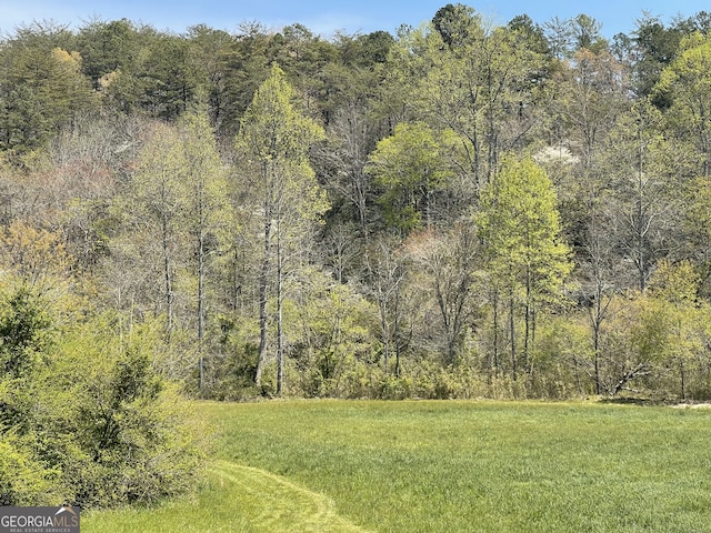 5.765AC Brannon Nix Rd, Blairsville, GA 30512 - view of landscape with a forest view