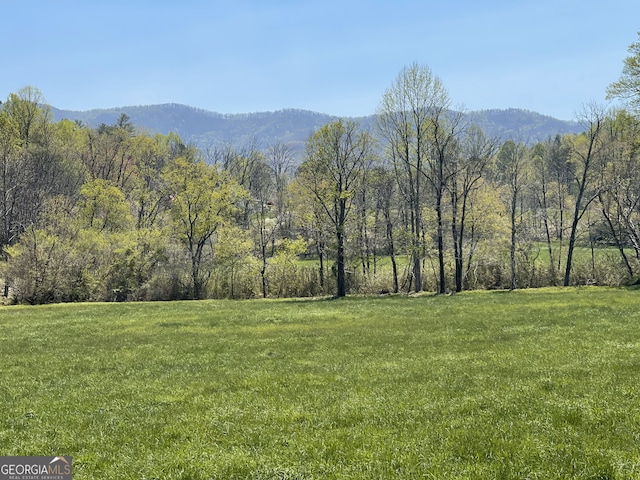 5.765AC Brannon Nix Rd, Blairsville, GA 30512 - property view of mountains with a wooded view