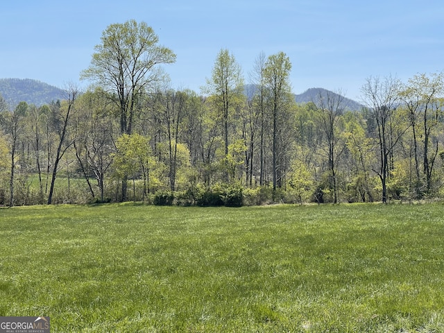 5.765AC Brannon Nix Rd, Blairsville, GA 30512 - mountain view with a wooded view