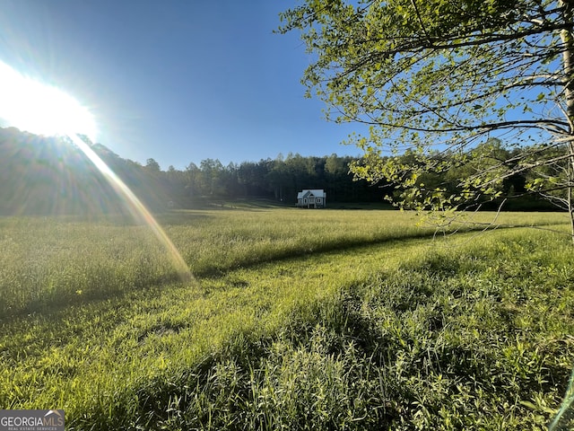 5.765AC Brannon Nix Rd, Blairsville, GA 30512 - view of yard featuring a forest view