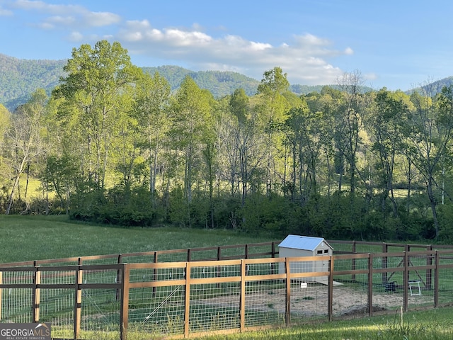 5.765AC Brannon Nix Rd, Blairsville, GA 30512 - view of yard with a rural view, an outbuilding, a view of trees, and fence
