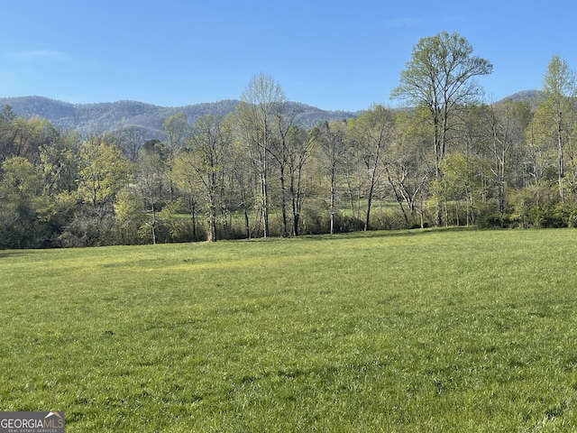 5.765AC Brannon Nix Rd, Blairsville, GA 30512 - mountain view