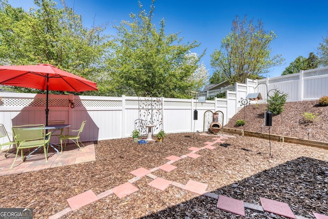 view of yard featuring a patio area and a fenced backyard