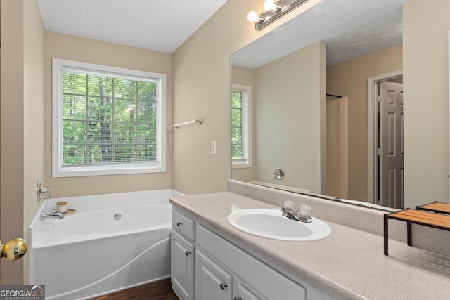 1012 Miss Amber Way, Locust Grove, GA 30248 - bathroom with plenty of natural light, vanity, a garden tub, and a textured ceiling