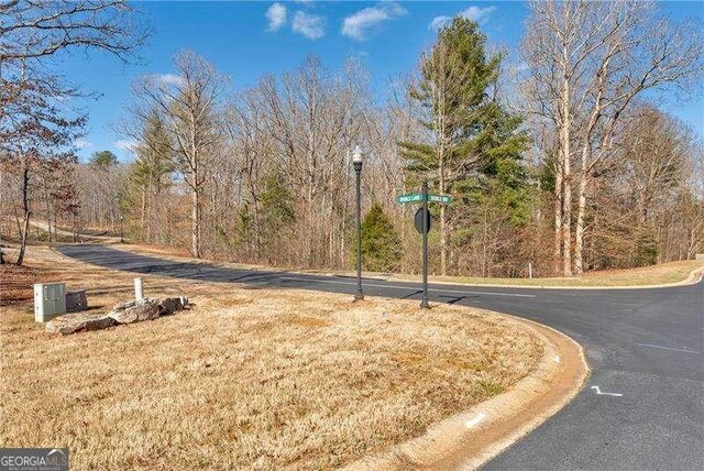 0 Shoals Way, Clarkesville, GA 30523
