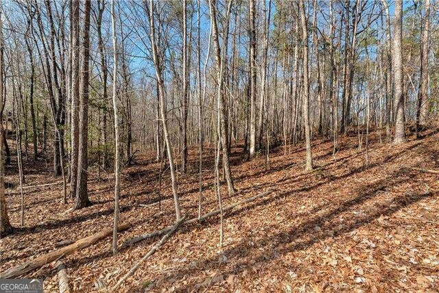 0 Shoals Way, Clarkesville, GA 30523
