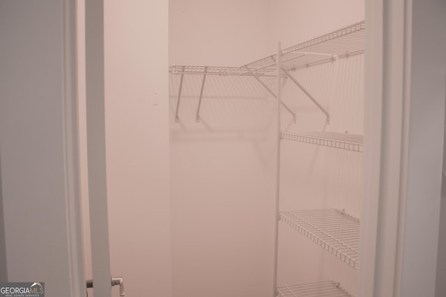 600 Broadview Ter NE, Atlanta, GA 30324 - view of spacious closet
