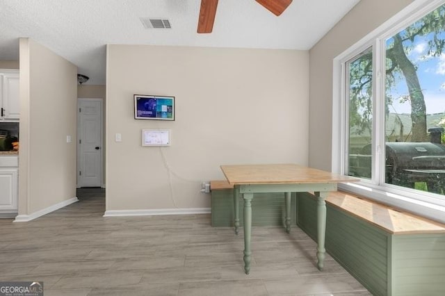 1163 Bristol Hammock Cir, Kingsland, GA 31548 - office space with ceiling fan and light wood-type flooring