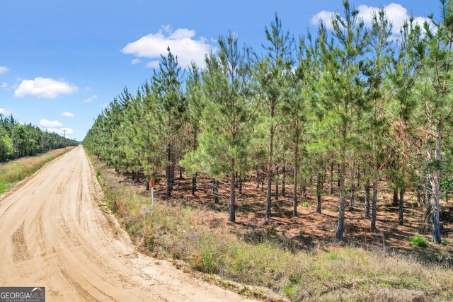 TRACT1 Sanderling Rd, Alma, GA 31510