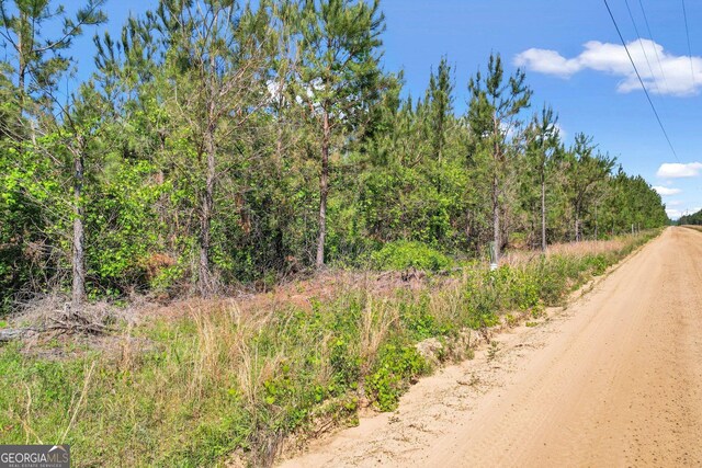 TRACT1 Sanderling Rd, Alma, GA 31510