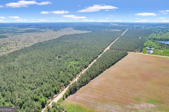 TRACT1 Sanderling Rd, Alma, GA 31510