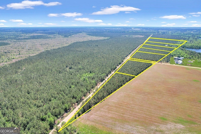 TRACT1 Sanderling Rd, Alma, GA 31510