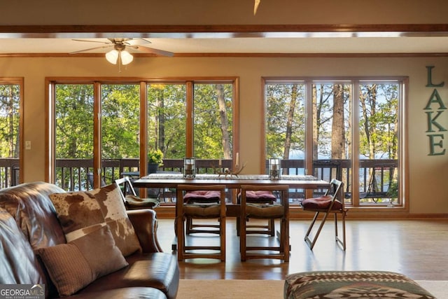 736 Cedar Ridge Rd, Hartwell, GA 30643 - sunroom / solarium with a wealth of natural light