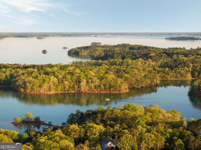 736 Cedar Ridge Rd, Hartwell, GA 30643 - water view featuring a forest view