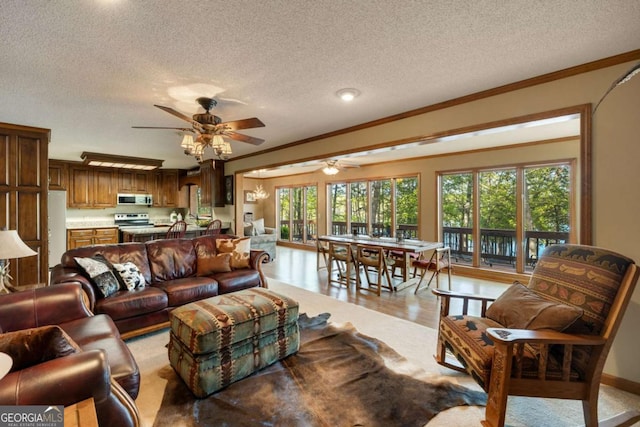736 Cedar Ridge Rd, Hartwell, GA 30643 - living area with a ceiling fan and a textured ceiling