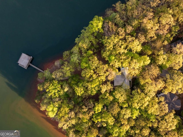736 Cedar Ridge Rd, Hartwell, GA 30643 - aerial view