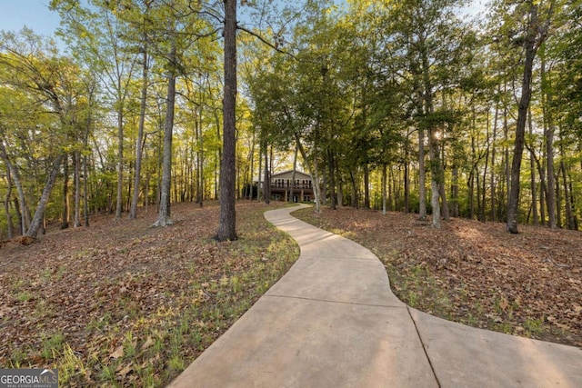 736 Cedar Ridge Rd, Hartwell, GA 30643 - view of property's community