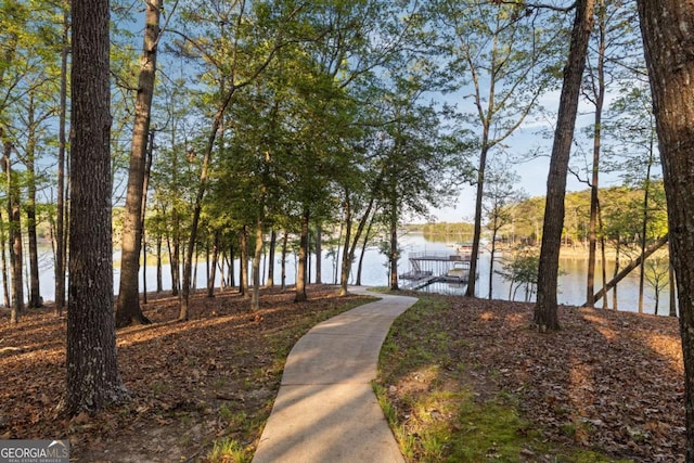 736 Cedar Ridge Rd, Hartwell, GA 30643 - surrounding community with a water view and a dock