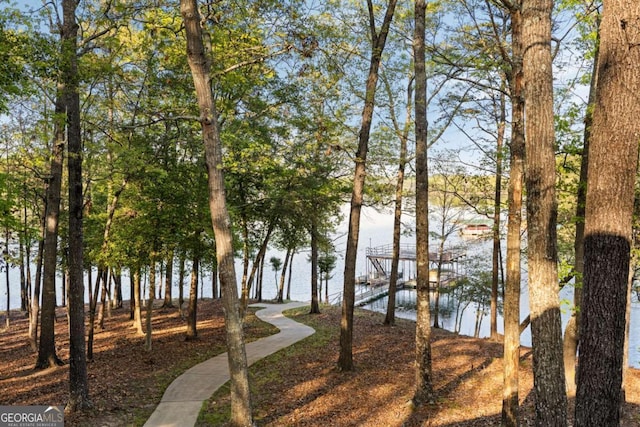 736 Cedar Ridge Rd, Hartwell, GA 30643 - water view with a dock