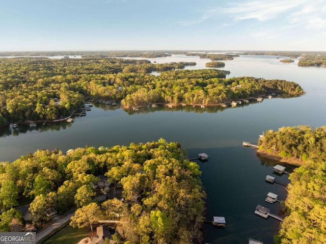 736 Cedar Ridge Rd, Hartwell, GA 30643 - aerial view with a forest view and a water view