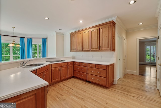 kitchen featuring a sink, brown cabinets, light wood-style flooring, plenty of natural light, and ornamental molding