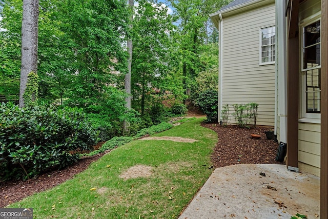 view of yard