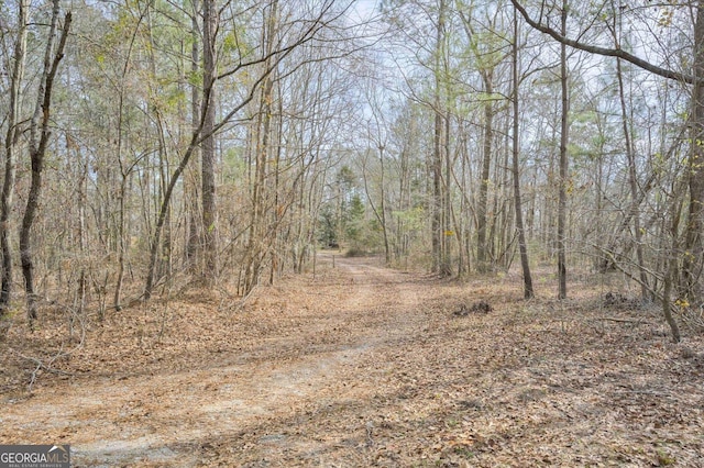 5585 Rosemont Dr, Appling, GA 30802 - view of nature featuring a forest view