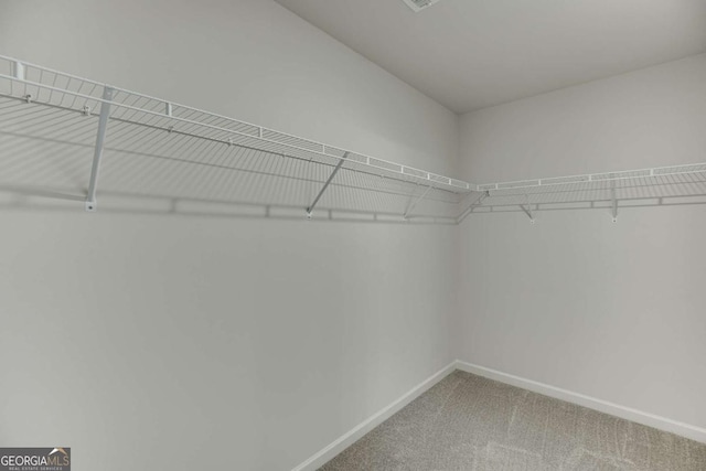 7208 Whitewater Dr, Flowery Branch, GA 30542 - spacious closet featuring light colored carpet